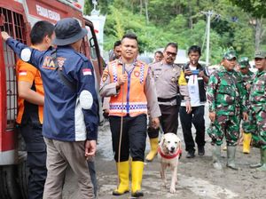 Anjing Pelacak Dikerahkan Cari 10 Korban Banjir Bandang di Humbahas Anjing Pelacak Dikerahkan Cari 10 Korban Banjir Bandang di Humbahas