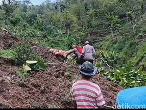 Korban Tanah Longsor di Kismantoro Belum Ketemu, Anjing Pelacak Dikerahkan