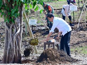 Tanam Pohon di NTT, Jokowi Kirim Pesan Aksi Nyata Hadapi Perubahan Iklim