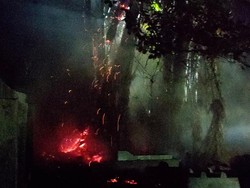 Warga Bakar Sampah Sebabkan Pohon Terbakar Bak Kembang Api di Gunungkidul