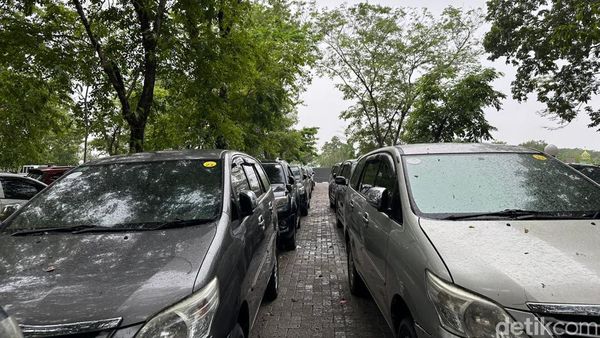 Deretan Mobil Dinas Pemprov Sulsel Usia 9 hingga 19 Tahun Dilelang