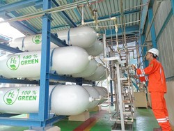 Gaet Perusahaan Saudi, PLN-Pupuk Indonesia Garap Green Ammonia di Gresik