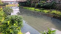 Potret Sodetan Ciliwung Terkini, Belum Ampuh Atasi Banjir?