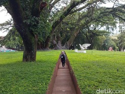 Taman Labirin di Balai Kota Bandung, Unik Sekaligus Estetik