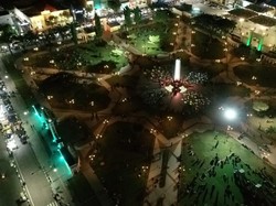 Makin Cantik, Alun-alun Pasuruan Hadirkan Pohon Tabebuya-Spot Foto