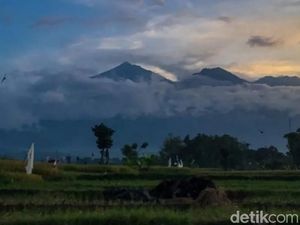 Pendakian Gunung Arjuno-Welirang Belum Dibuka Sejak Kebakaran Pendakian Gunung Arjuno-Welirang Belum Dibuka Sejak Kebakaran