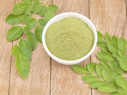 14 Manfaat Daun Kelor untuk Kesehatan, Khasiatnya Nggak Kaleng-kaleng!