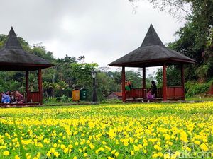 Melepas Penat di Situ Wangi Ciamis, Rute dan Harga Tiket Melepas Penat di Situ Wangi Ciamis, Rute dan Harga Tiket