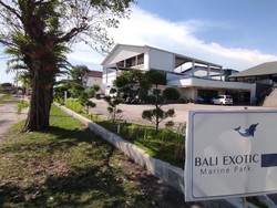 Bali Exotic Marine Park Belum Berkomentar soal Dugaan Penyiksaan Lumba-lumba