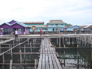 Melihat Budi Daya Ikan Napoleon yang Banyak Dilirik Warga Hong Kong Melihat Budi Daya Ikan Napoleon yang Banyak Dilirik Warga Hong Kong