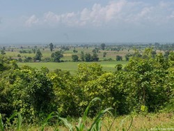 Derita Warga Sipil Akibat Perang Saudara di Myanmar