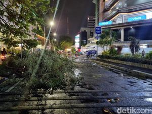Hujan Deras Disertai Angin Kencang Landa Surabaya Tumbangkan Sejumlah Pohon