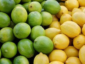 Rutin Konsumsi Jeruk Lemon dan Jeruk Nipis, Rasakan 5 Manfaat Sehat Ini Rutin Konsumsi Jeruk Lemon dan Jeruk Nipis, Rasakan 5 Manfaat Sehat Ini