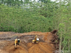 Begini Susahnya Bangun Kereta Tanpa Rel di IKN