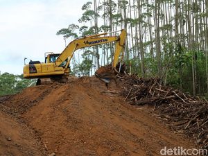 28 Gedung di IKN Rampung Bulan Juni, Paling Banyak dari APBN