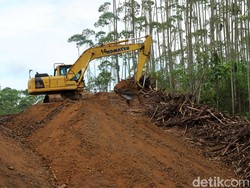 28 Gedung di IKN Rampung Bulan Juni, Paling Banyak dari APBN