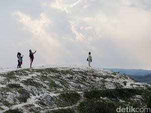 Sumba yang Pernah Jadi Tempat Tinggal Tikus Raksasa Sumba yang Pernah Jadi Tempat Tinggal Tikus Raksasa