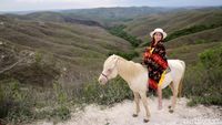 Pesona Bukit Warinding Sumba