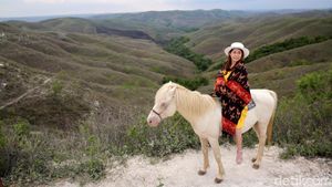 Pesona Bukit Warinding Sumba