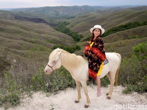 Pesona Bukit Warinding Sumba Pesona Bukit Warinding Sumba