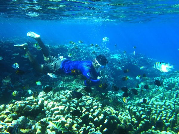 Pesona Taman Laut Olele, Surga Tersembunyi di Gorontalo