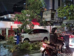 2 Mobil Tertimpa Pohon Tumbang Saat Angin Kencang Landa Surabaya