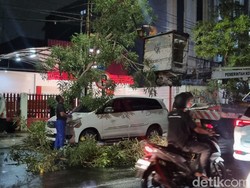 2 Mobil Tertimpa Pohon Tumbang Saat Angin Kencang Landa Surabaya