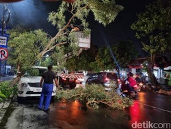 1 Rumah Roboh-24 Pohon Tumbang Terjang Surabaya Saat Hujan Angin