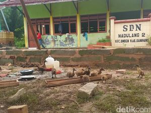 Kepsek Sampang Tersangka Pelecehan Guru-Wali Murid Sudah 3 Hari Tak Ngantor