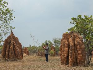 Sejarah Taman Wisata 1.000 Musamus, Dulunya Cuma Lahan Tidur Sejarah Taman Wisata 1.000 Musamus, Dulunya Cuma Lahan Tidur