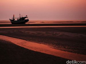 Transmigrasi tuk Jadi Petani