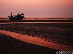 Transmigrasi tuk Jadi Petani