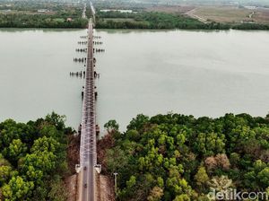 Hari Bhakti Transmigrasi 2023: Tema, Sejarah hingga Paradigma Hari Bhakti Transmigrasi 2023: Tema, Sejarah hingga Paradigma