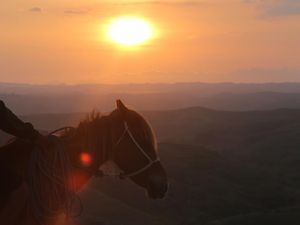 Terpesona Alam Sumba Timur, Menikmati Barisan Bukit Ditemani Kuda Sumba