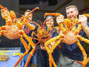 5 Seafood Ukuran Jumbo Ini Ada yang Beratnya Mencapai 453 Kg! 5 Seafood Ukuran Jumbo Ini Ada yang Beratnya Mencapai 453 Kg!
