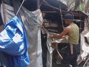 Balai TNUK Bongkar Gubuk Liar Peziarah Palsu di Sanghyang Sirah