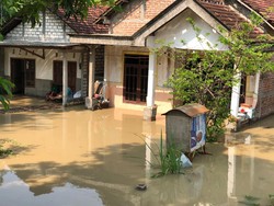 Puluhan Rumah di Gresik Selatan Terendam Banjir Imbas Meluapnya Kali Lamong