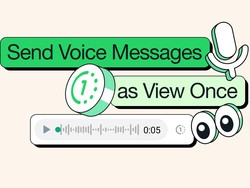Cara Kirim Pesan Suara WhatsApp yang Bisa Menghilang Otomatis