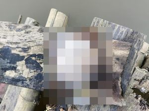 Kisah Pilu Keluarga MLA Terpaksa Buang Potongan Payudara ke Rawa Surabaya Kisah Pilu Keluarga MLA Terpaksa Buang Potongan Payudara ke Rawa Surabaya