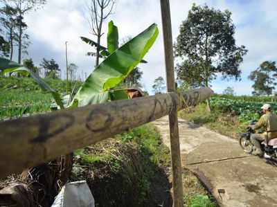 Jalur Pendakian Marapi Ditutup, Begini Kondisinya