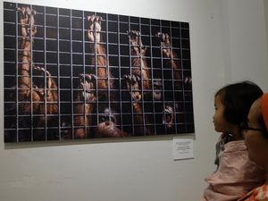 Yuk! Lihat Pameran Kisah Rimba di Bali Yuk! Lihat Pameran Kisah Rimba di Bali