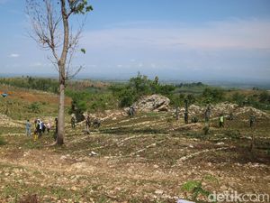 Miris! Lereng Pegunungan Kendeng Pati Gersang-Rawan Bencana Alam