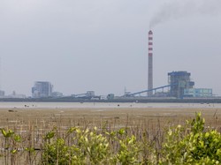 Langit Jakarta Cerah, Masih Perlukah PLTU Disuntik Mati?