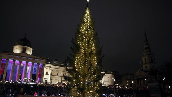 Pohon Natal 25 Meter Pemberian Norwegia untuk Inggris Mulai Menyala