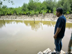 Terungkap! Pembuang Potongan Payudara ke Rawa-rawa Surabaya