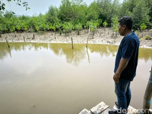 Potongan Payudara di Surabaya Ternyata Milik Pasien yang Operasi Kanker Potongan Payudara di Surabaya Ternyata Milik Pasien yang Operasi Kanker