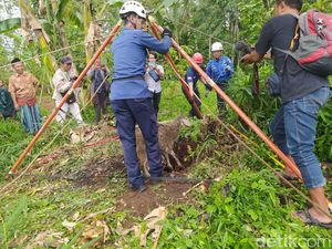 4 Kambing Tercebur Sumur Tua, Tim Damkar Magelang Turun Tangan