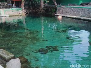 Beningnya Umbul Gedaren Klaten, Pernah Jadi Tempat Persinggahan Raja Beningnya Umbul Gedaren Klaten, Pernah Jadi Tempat Persinggahan Raja