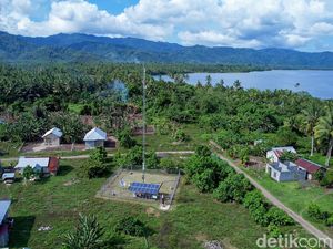 Dulu Cari Sinyal ke Pantai, Kini Warga Pelosok Halut Bebas Internetan Dulu Cari Sinyal ke Pantai, Kini Warga Pelosok Halut Bebas Internetan