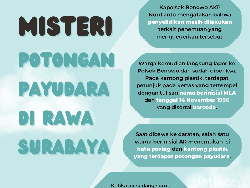 Infografis: Misteri Potongan Payudara di Rawa Surabaya